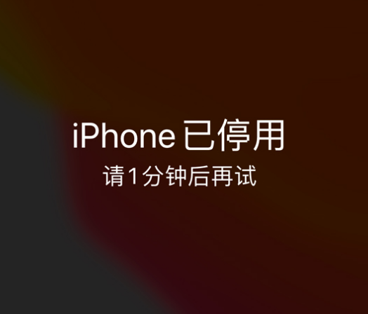 烈山苹果手机维修分享:iPhone 显示“不可用”或“已停用”怎么办？还能保留数据吗？ 