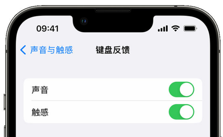 烈山苹果手机维修分享iPhone 14触感键盘使用方法 