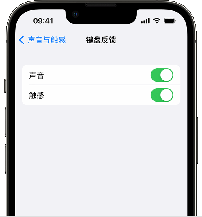 烈山苹果14维修店分享如何在 iPhone 14 机型中使用触感键盘 