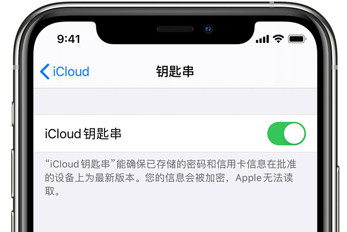 烈山苹果手机维修分享在 iPhone 上开启 iCloud 钥匙串之后会储存哪些信息 